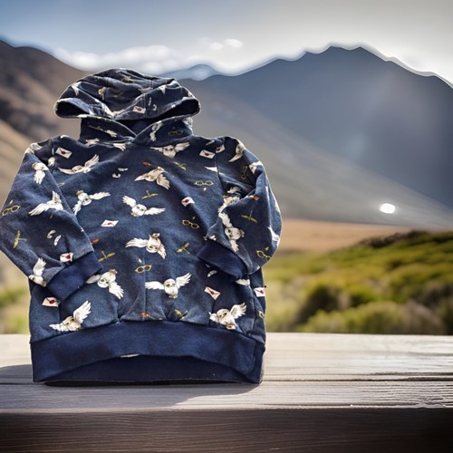Toller hoodie von harry - von,