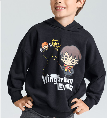 Harry potter wingardium - harry,